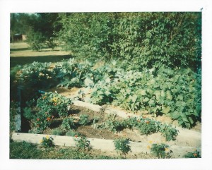 Garden 1970's