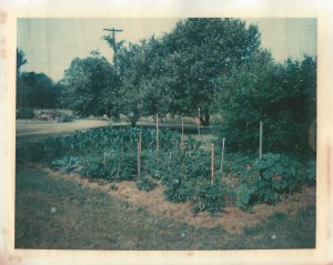 Garden 1972jpeg
